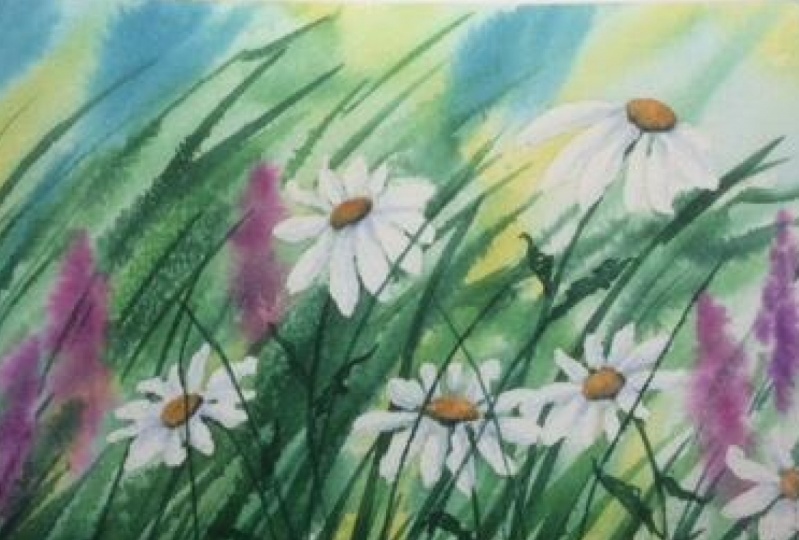 Daisy Love