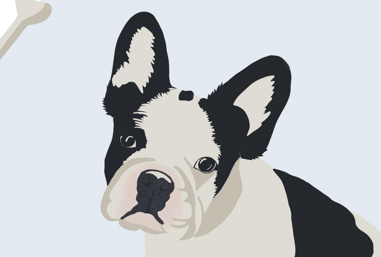 Cute Dog - student project