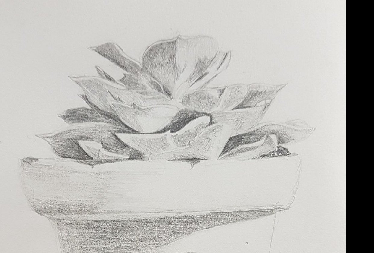 shading assignment - student project