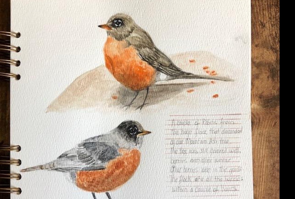 A Flock of Robins - student project