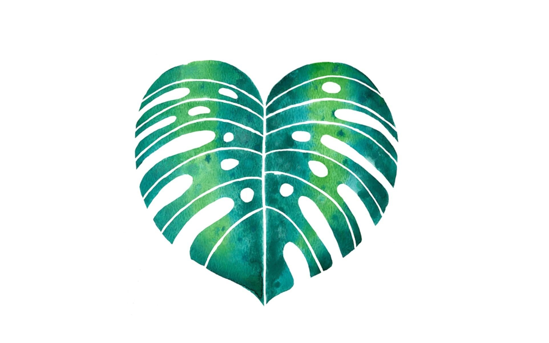 hoja tropical - student project