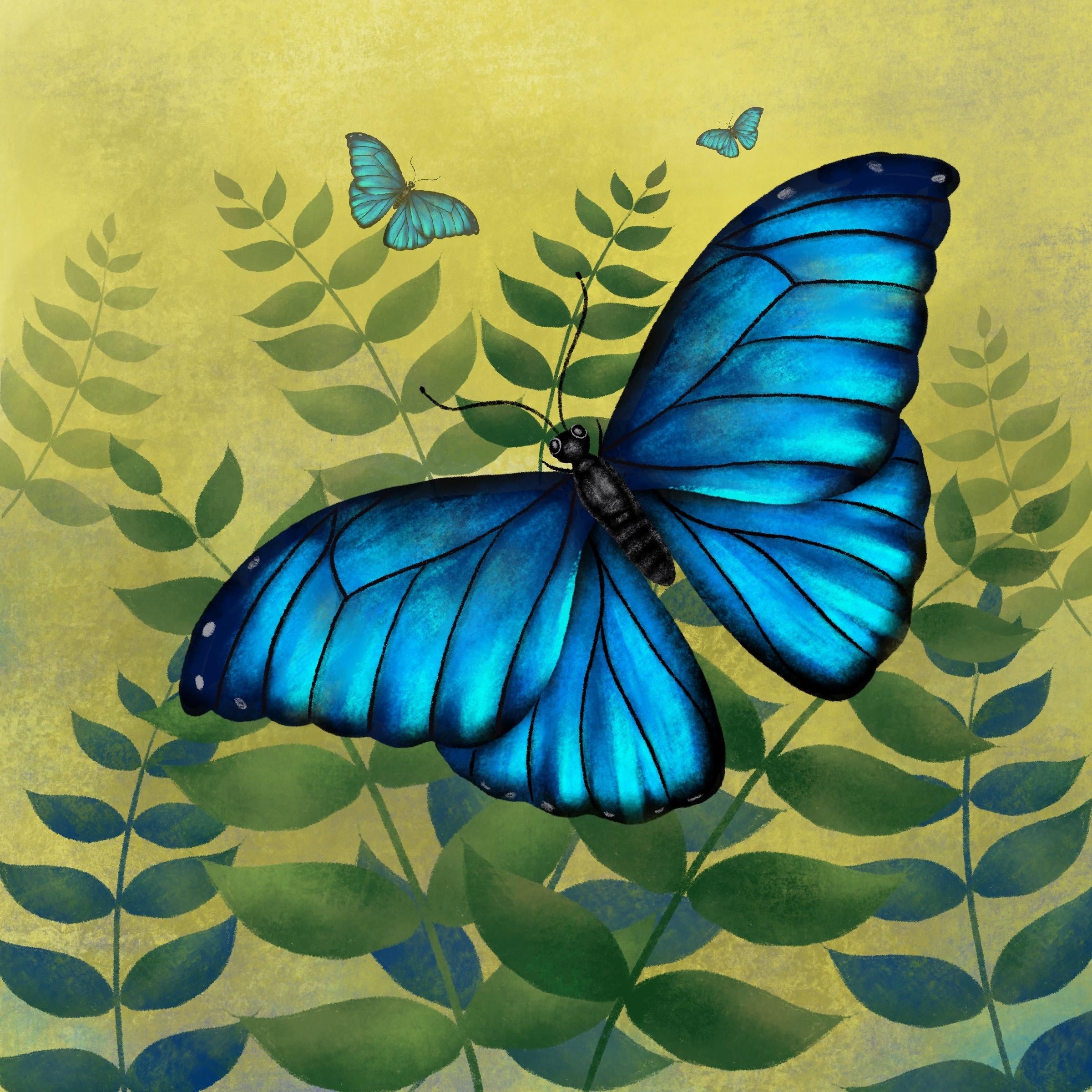 Blue Morphos Morning - student project