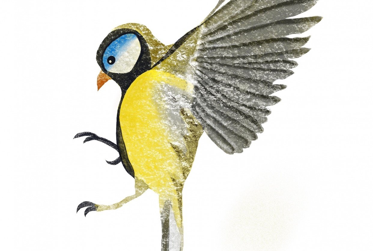 Bird - student project