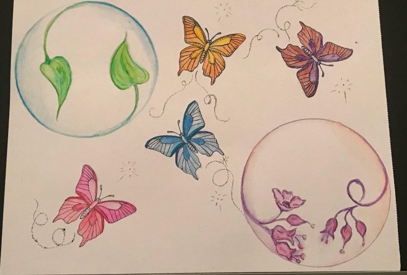 Time-Lapse of Watercolour Butterfly