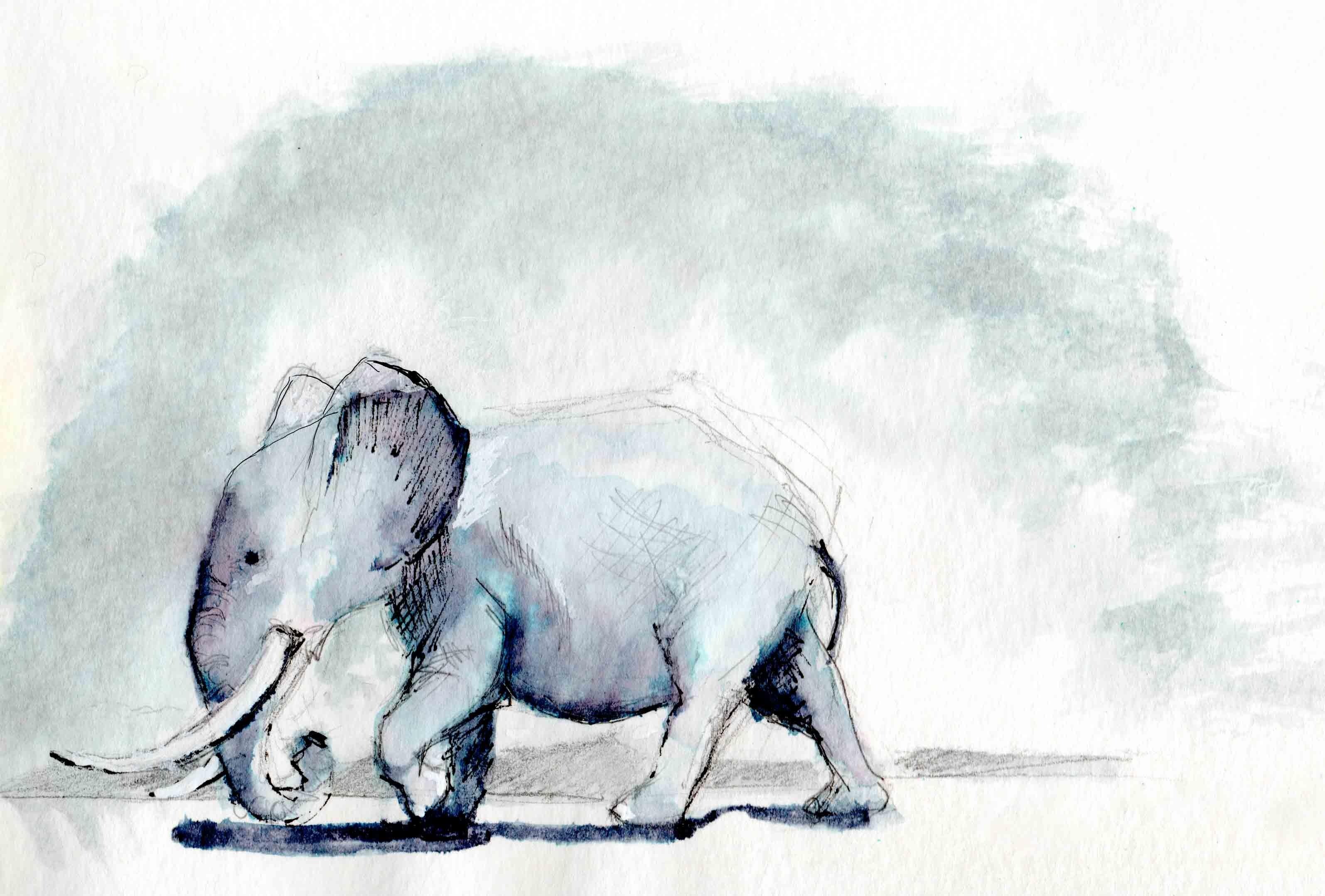 Digitizing Your Paint: Selecting and Adjusting Artwork in ...