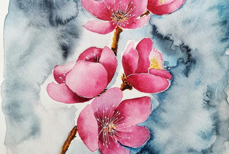 Cherry Blossom