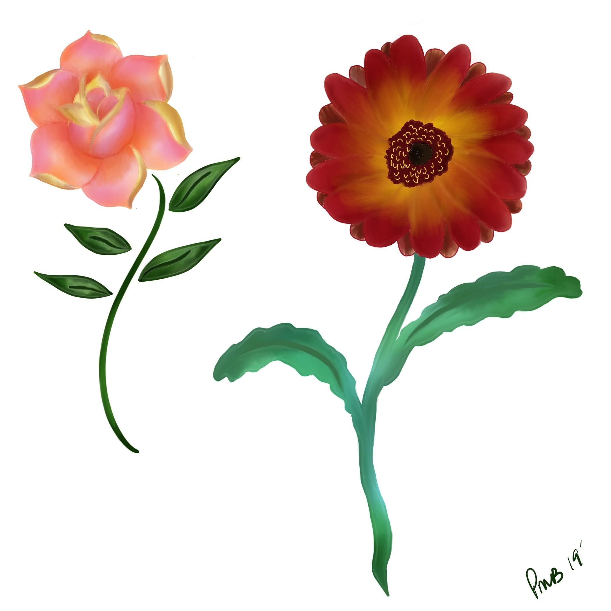 more-projects-from-class-img