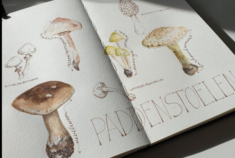 Mushrooms
