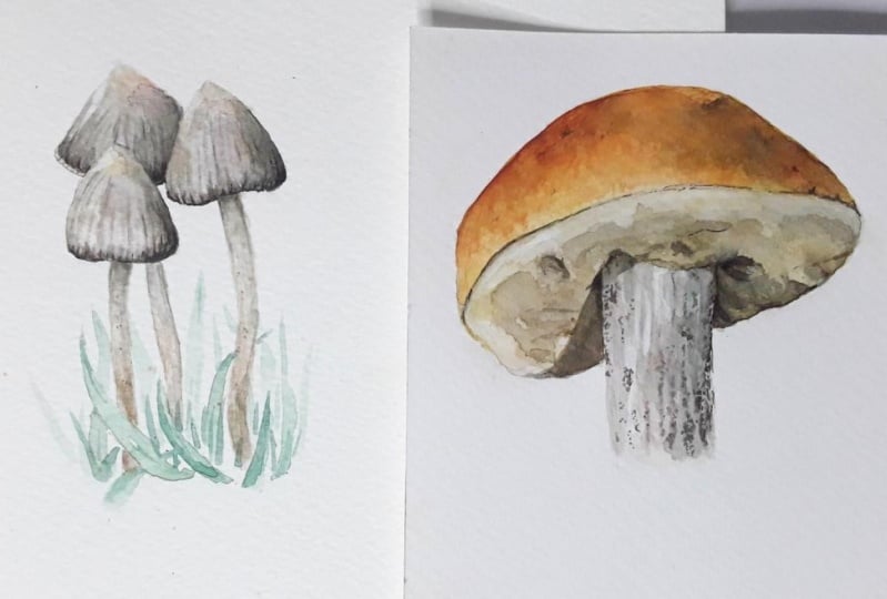 I love mushrooms!