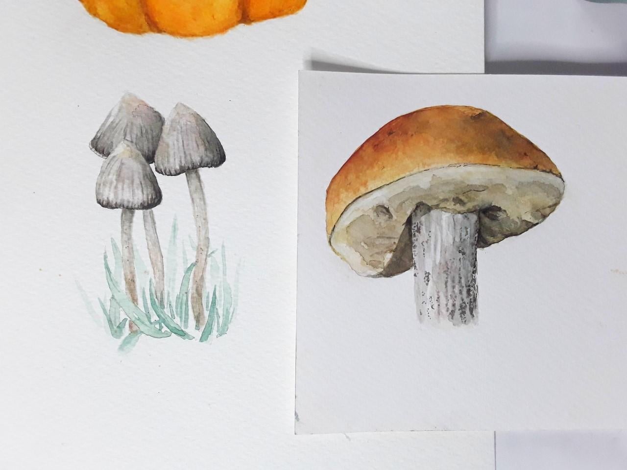 I love mushrooms! - student project