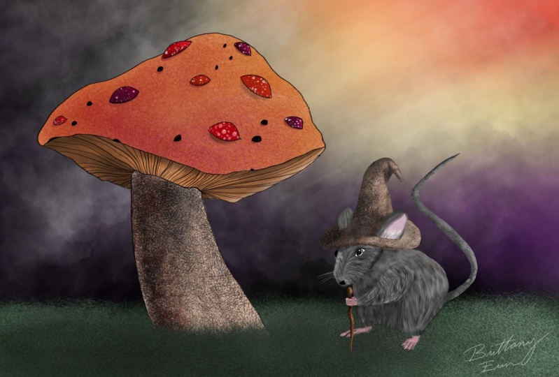 Wizard Mouse