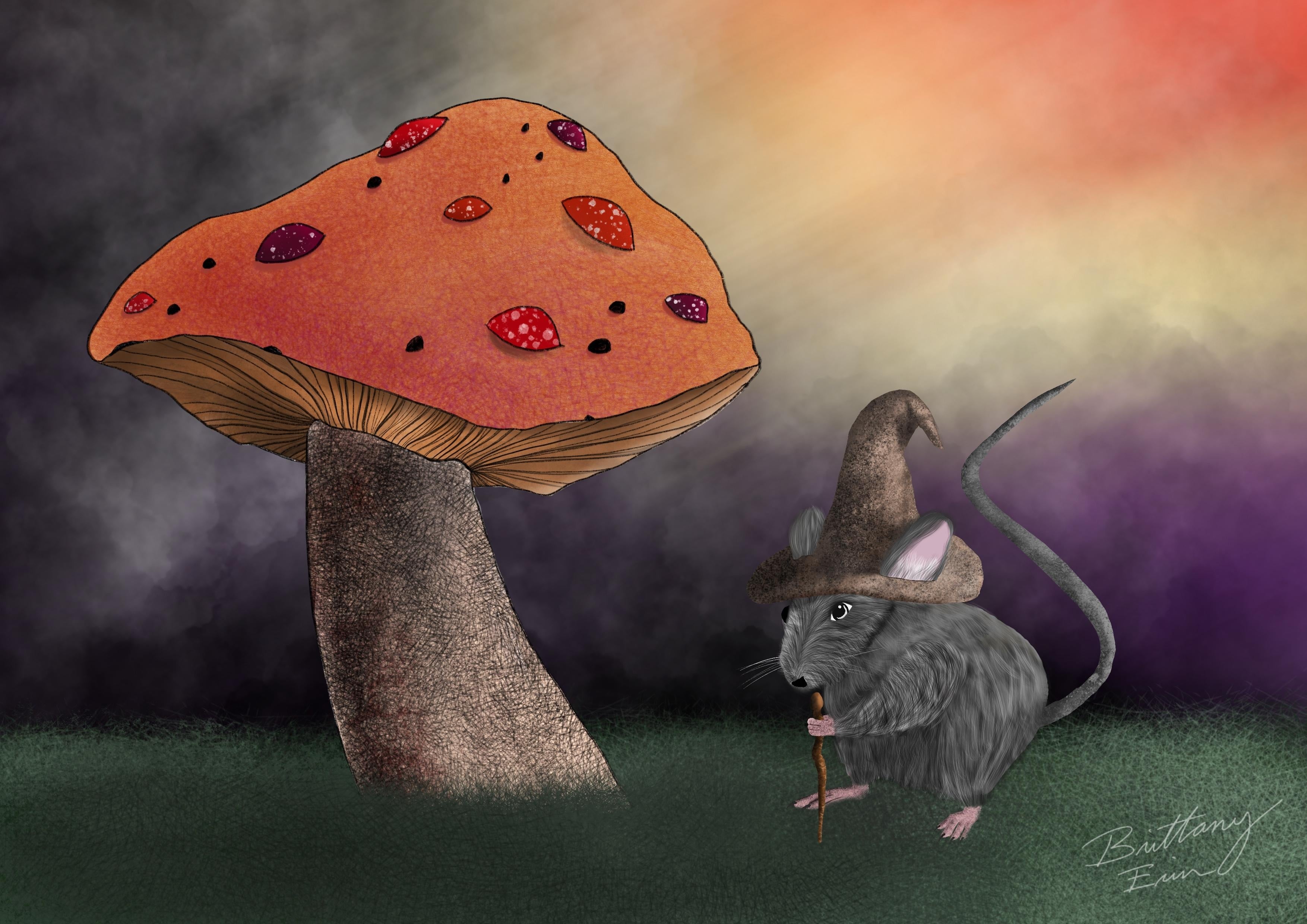 Wizard Mouse - student project