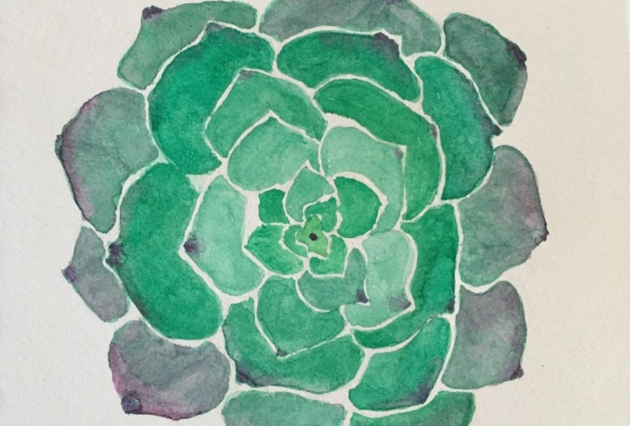 Succulent I - student project