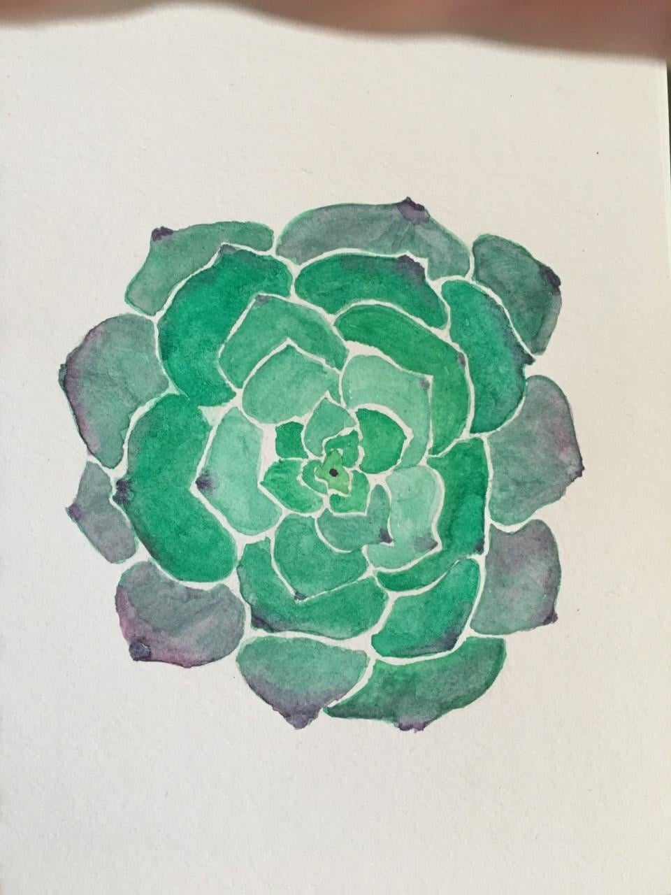Succulent I - student project