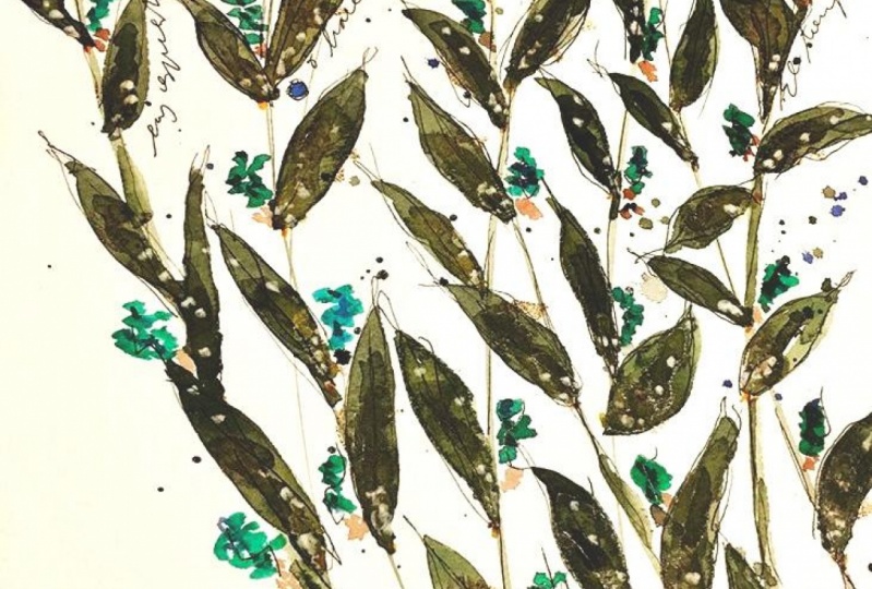 Leaves and letters