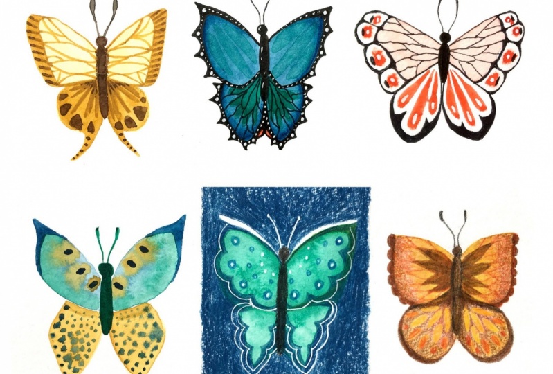 Flies and Bees and Bugs, oh my!