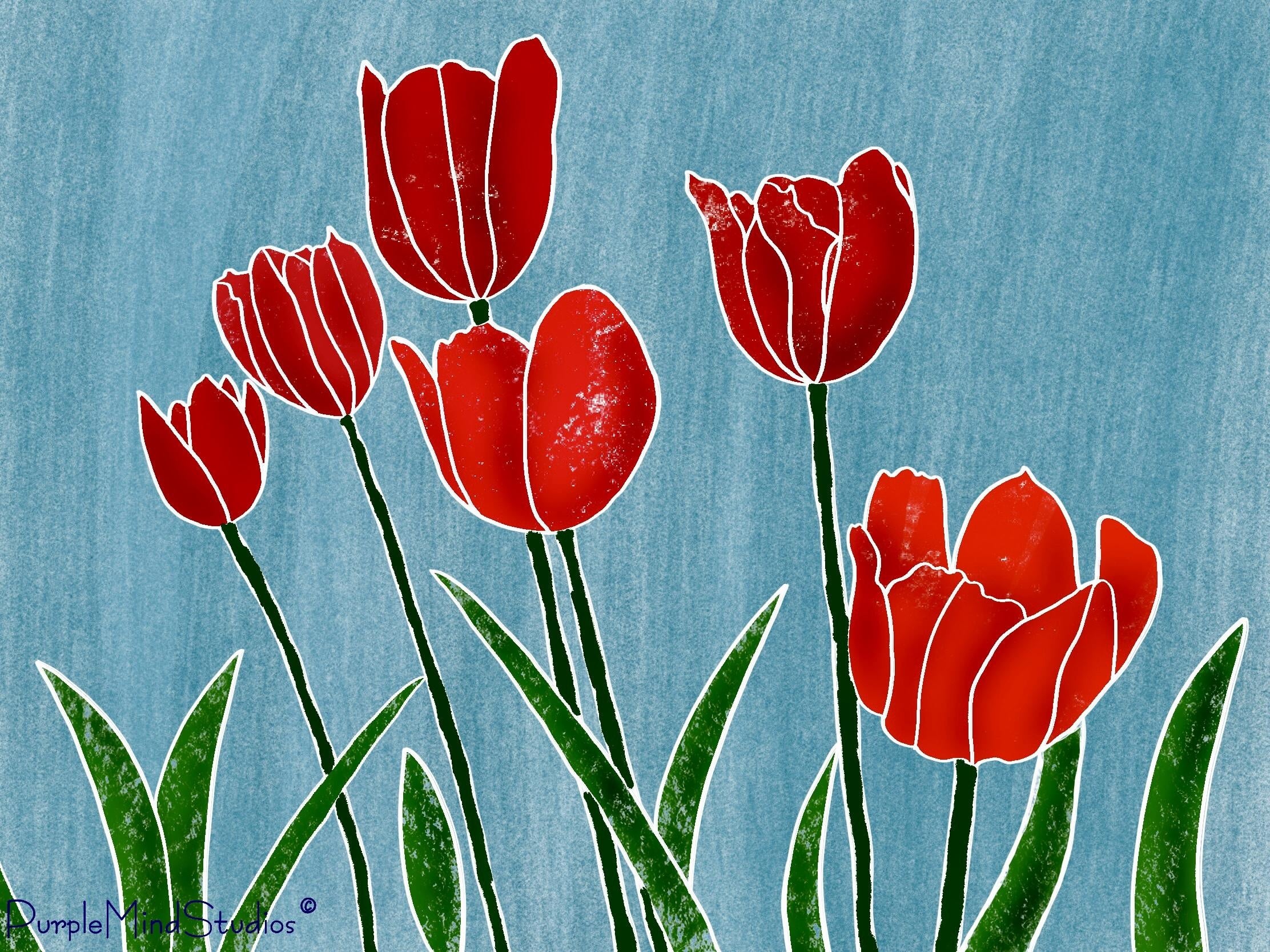 My Tulips - student project