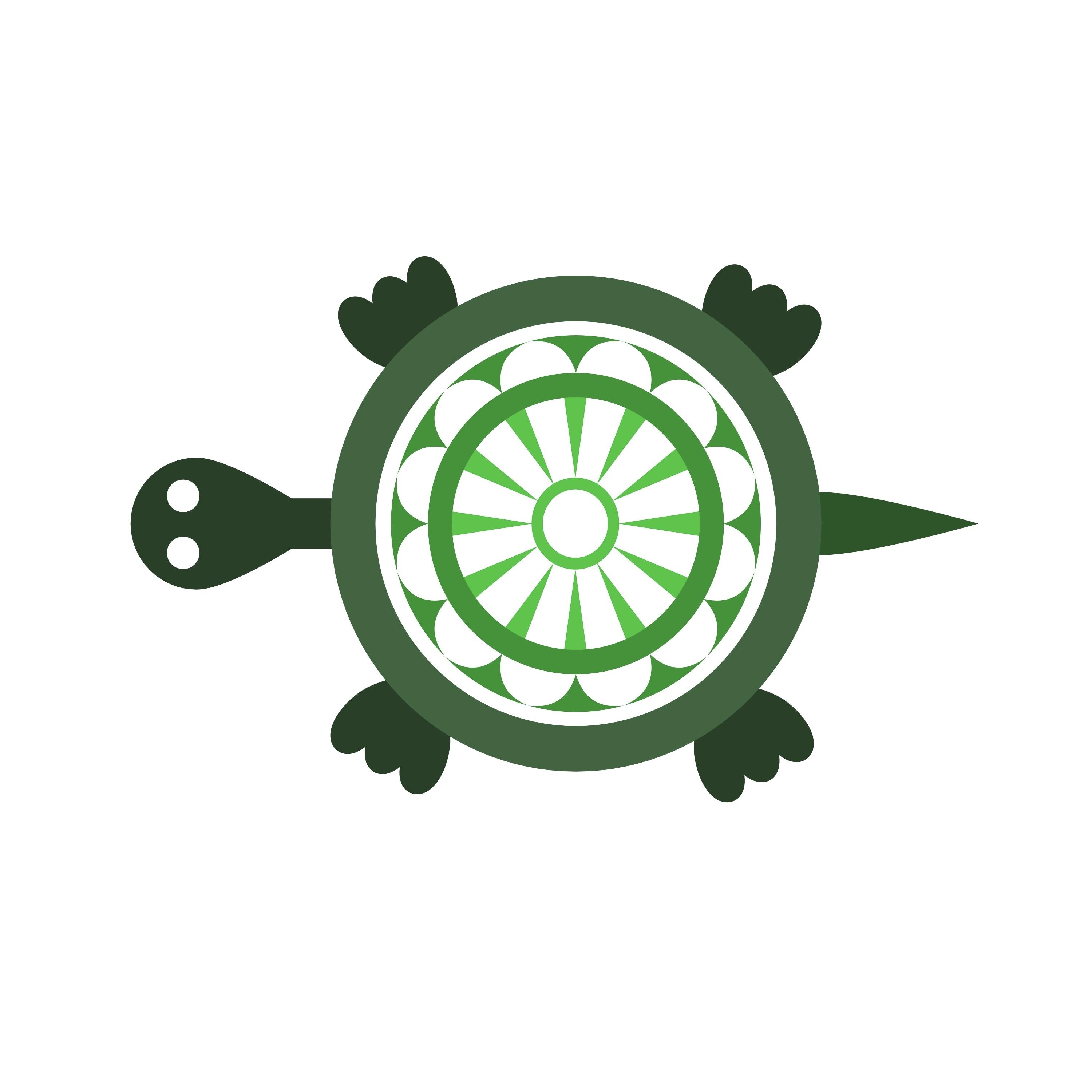 Turtle - student project
