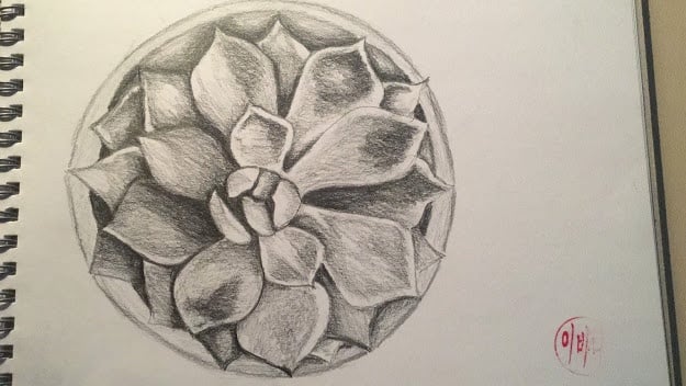 more-projects-from-class-img