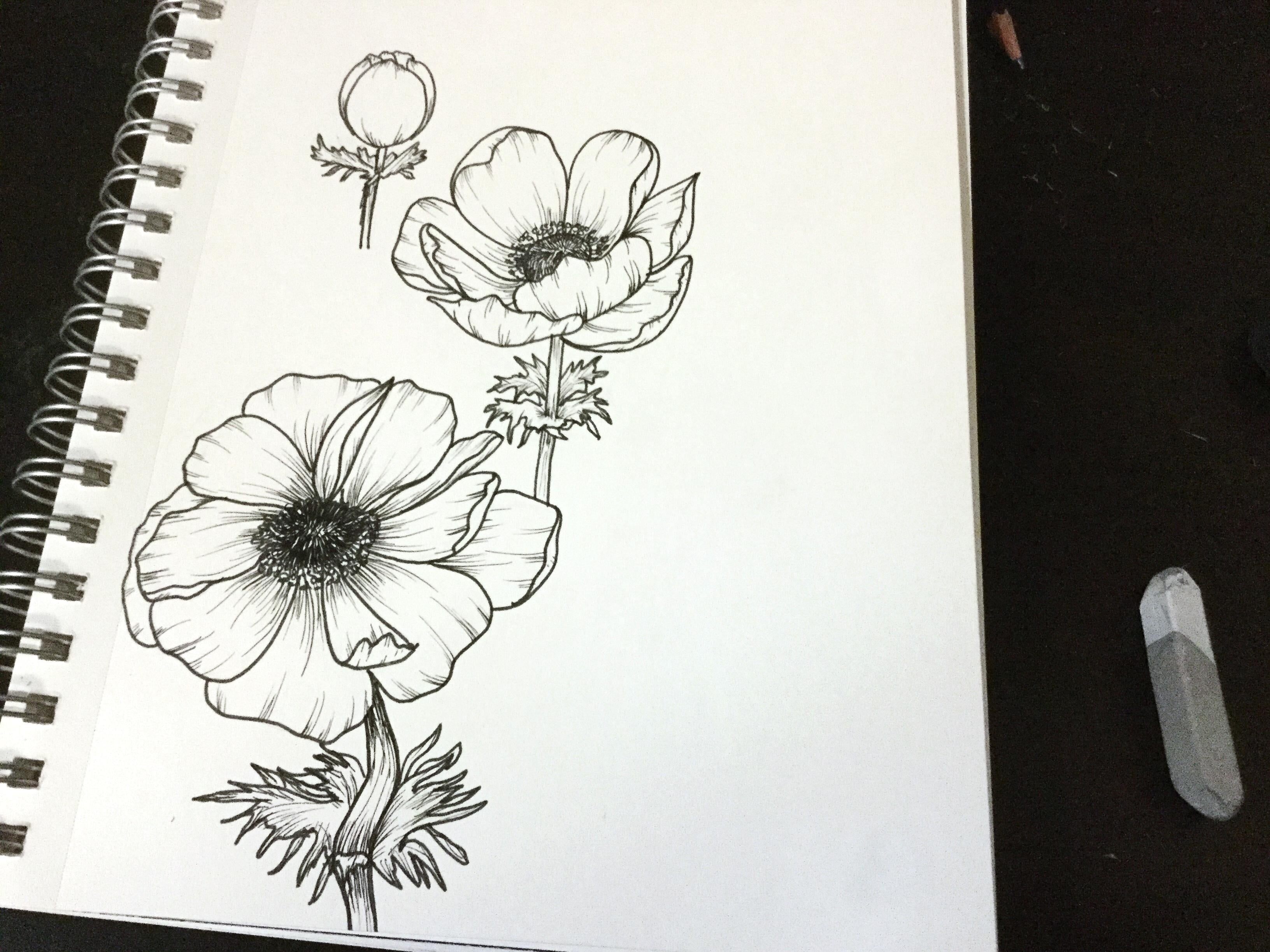 Anemone Florals - student project