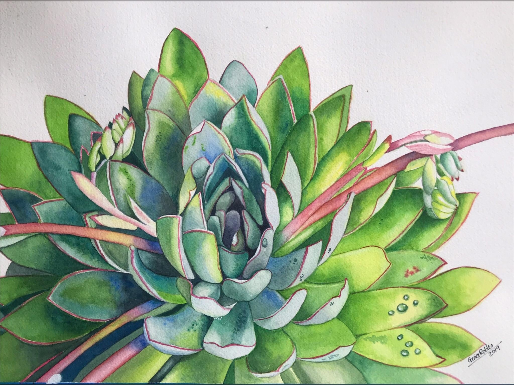 Succulent - student project