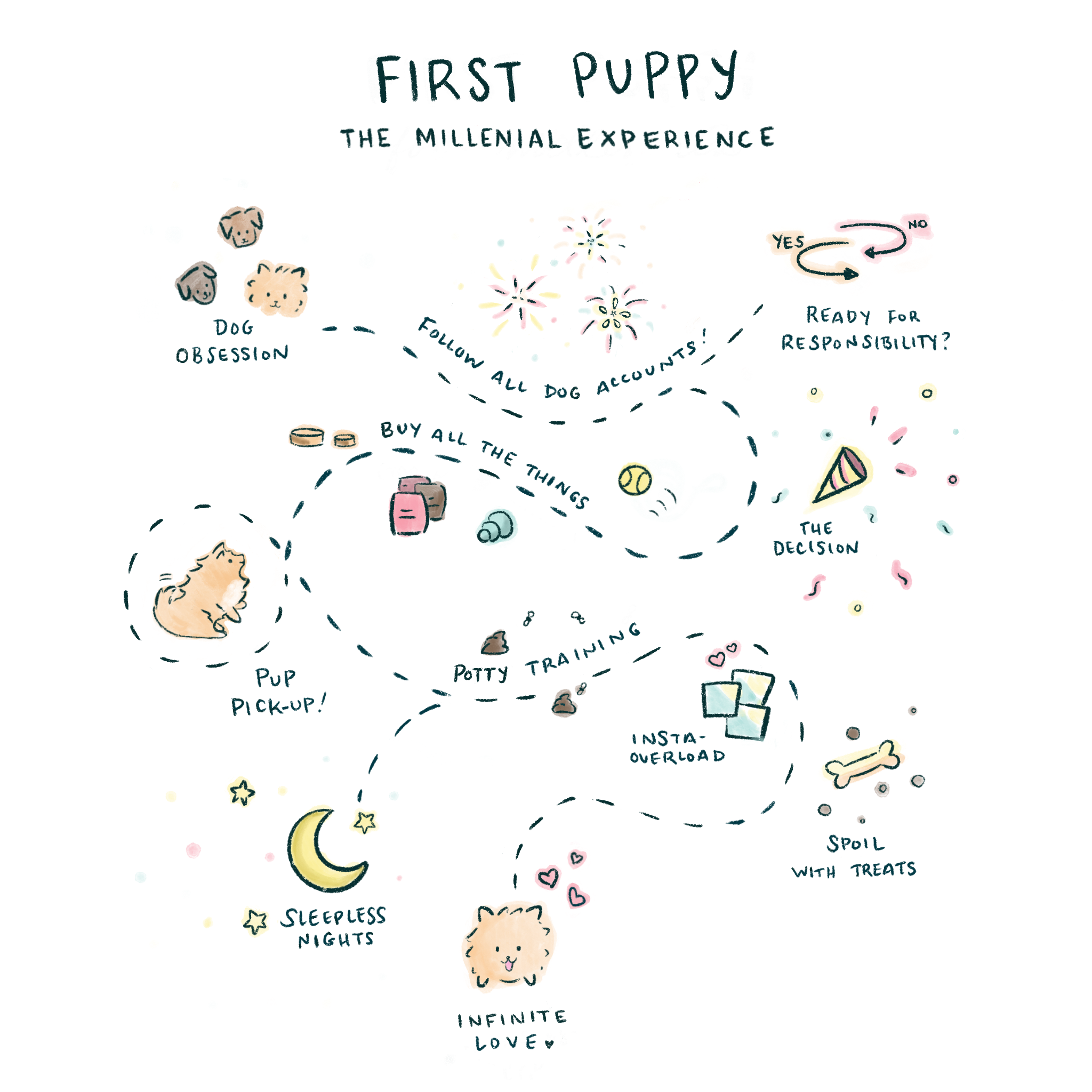 Puppy milestone map - student project