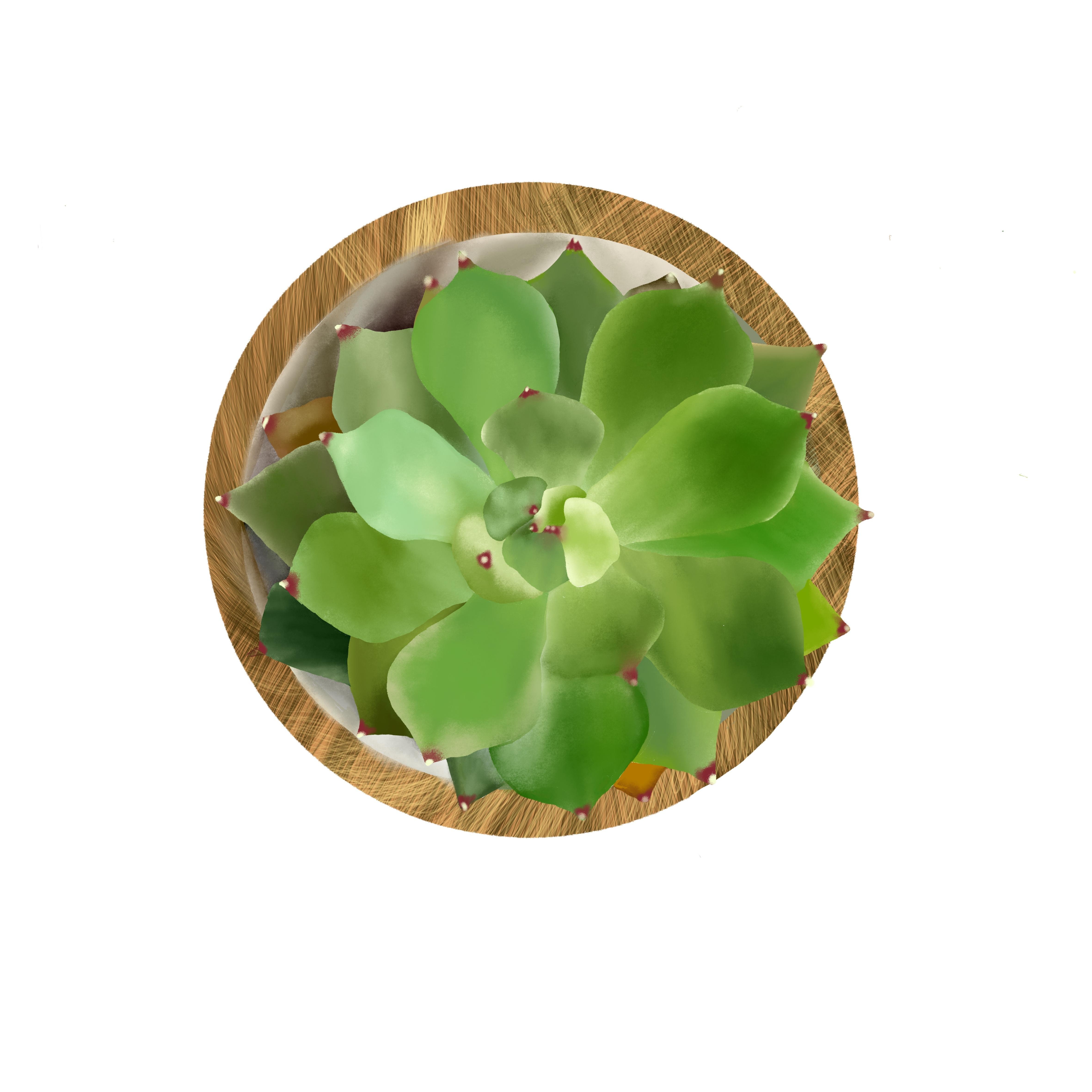 more-projects-from-class-img
