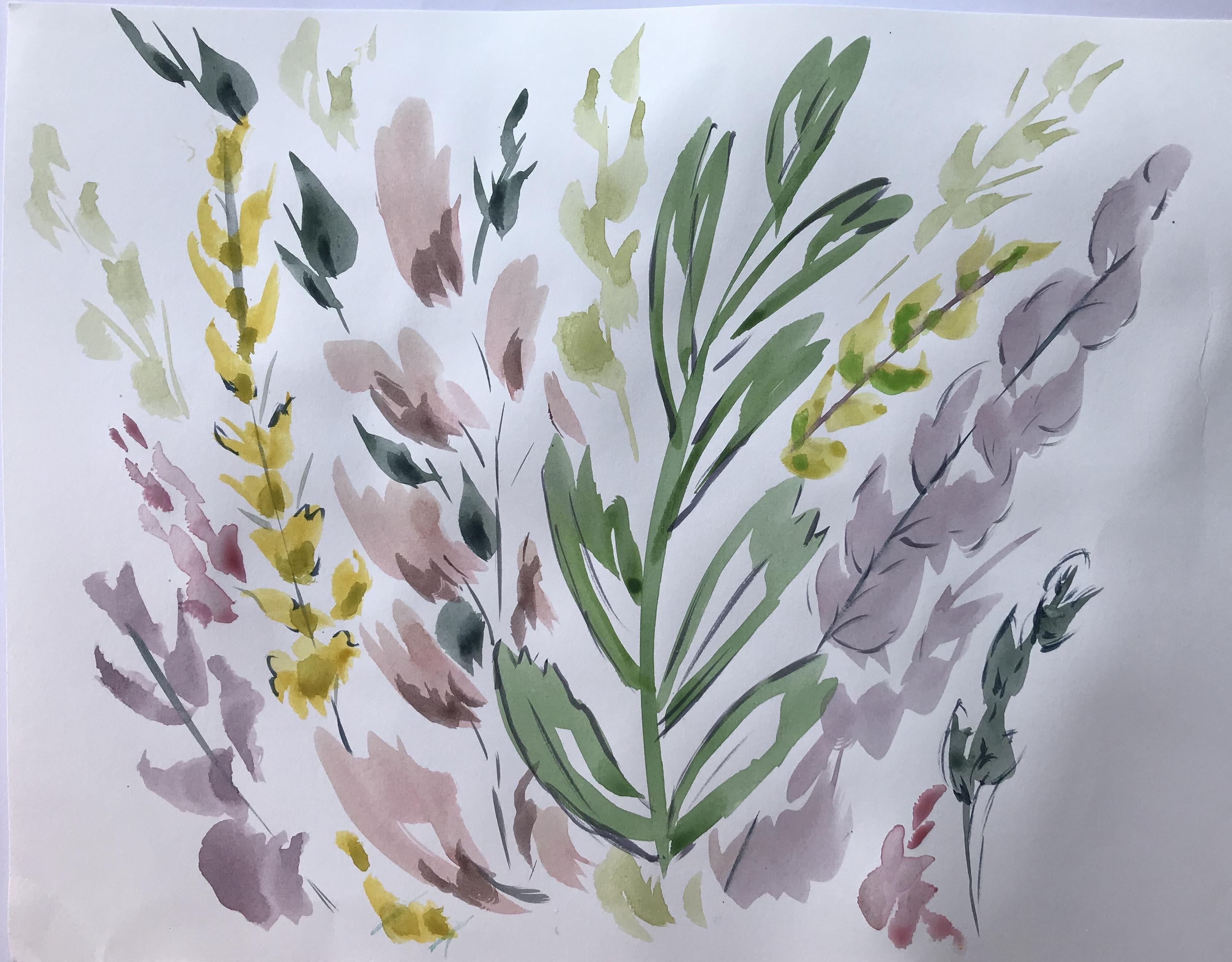 Loose watercolour botanicals - student project