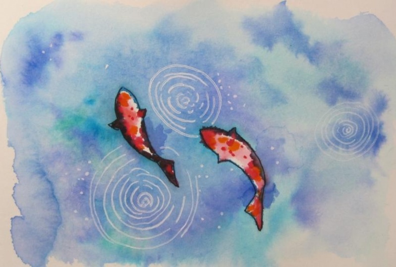 Koi