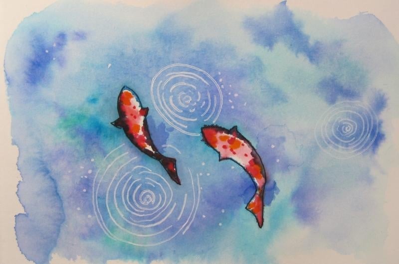 Koi - student project