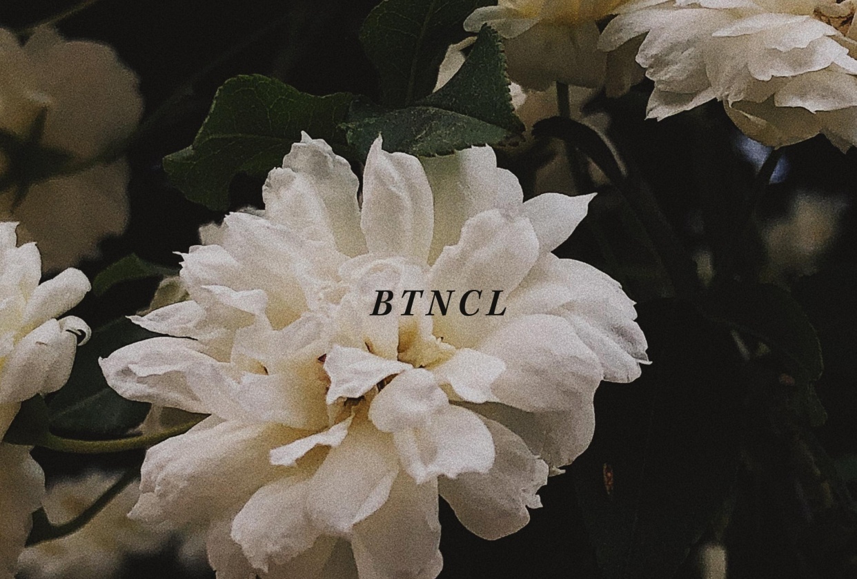 The plant, but also what's around! - student project
