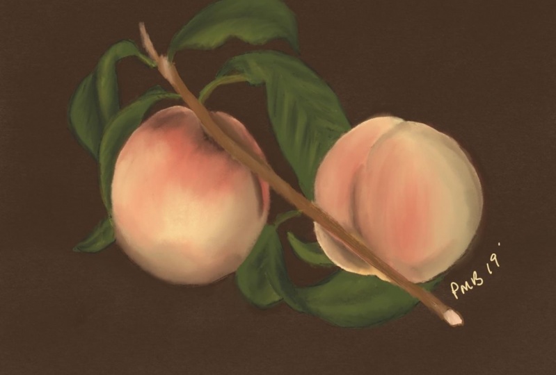 I’m a Georgia Peach