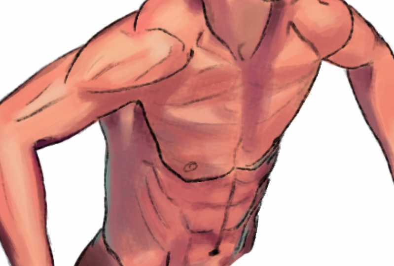 Drawing Torso Pool