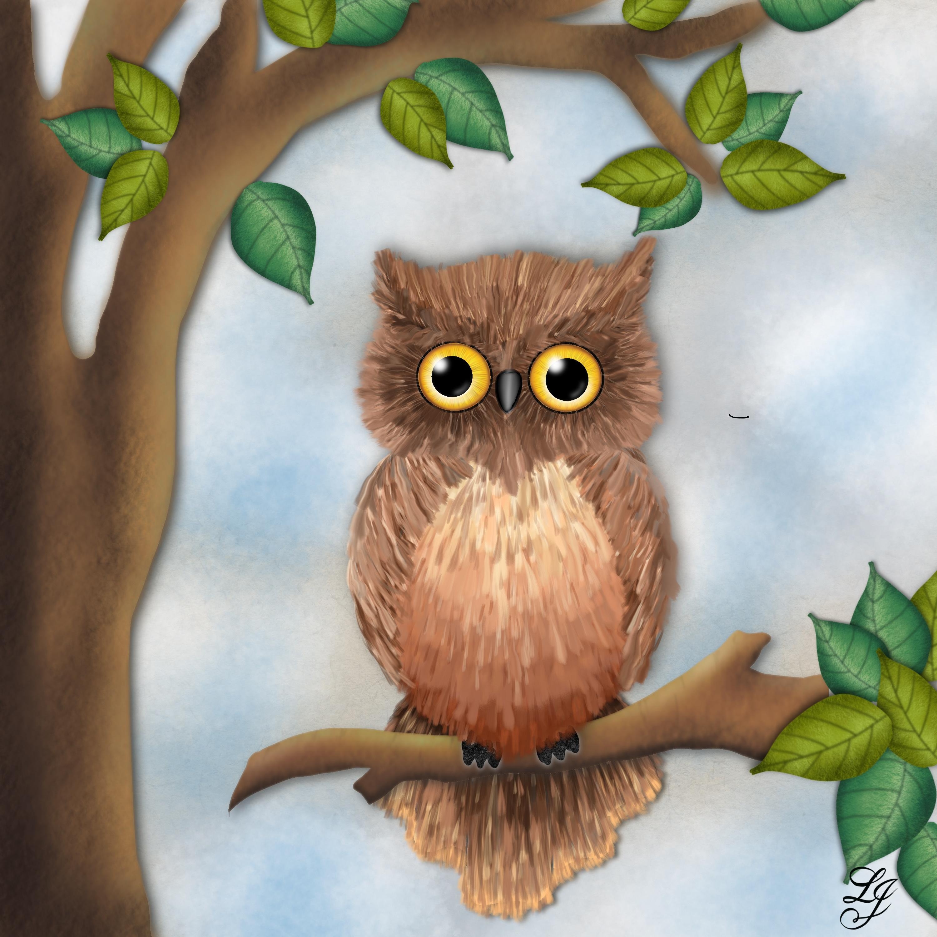 Owl - student project