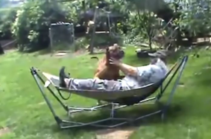 Hammock Heaven - student project