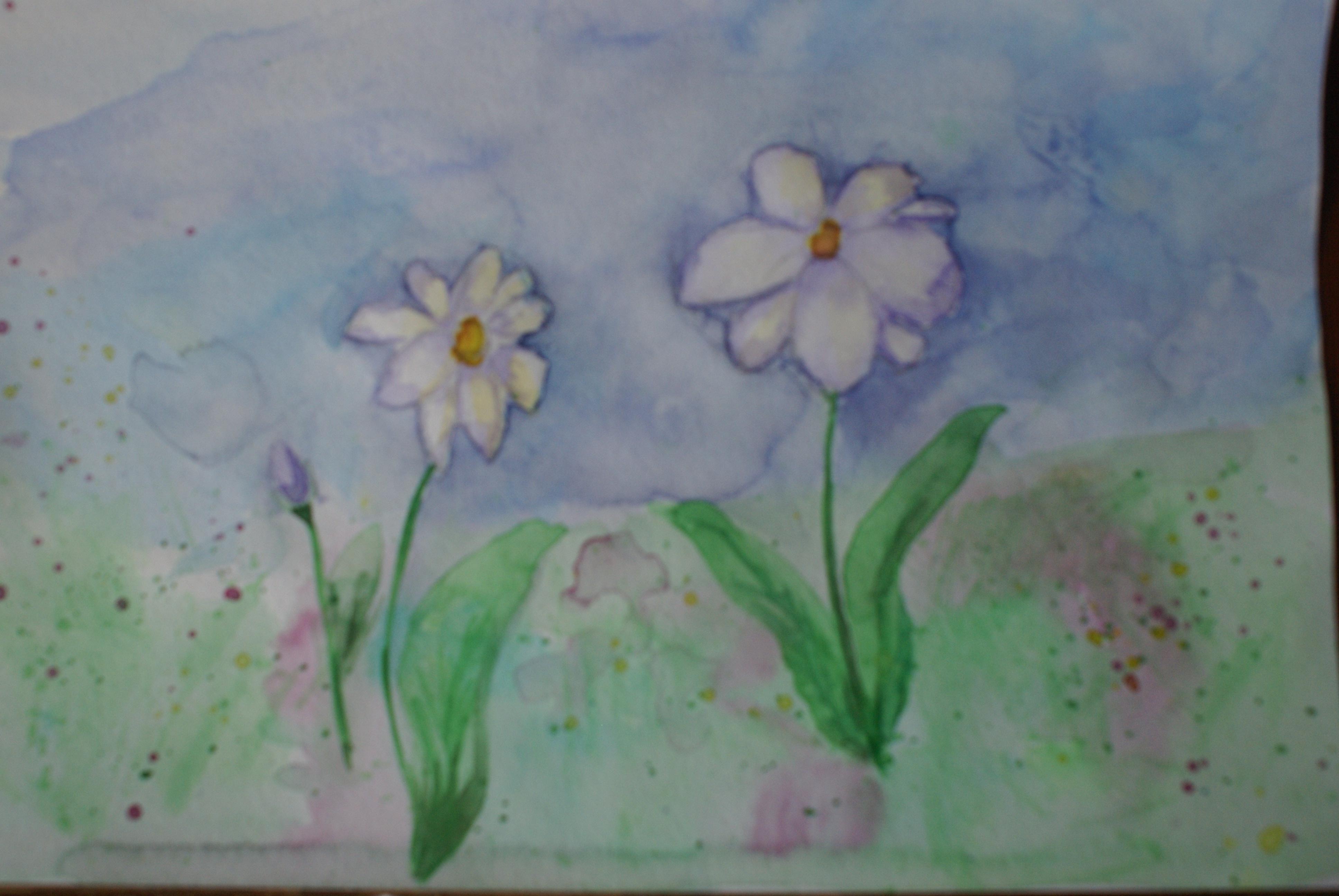more-projects-from-class-img