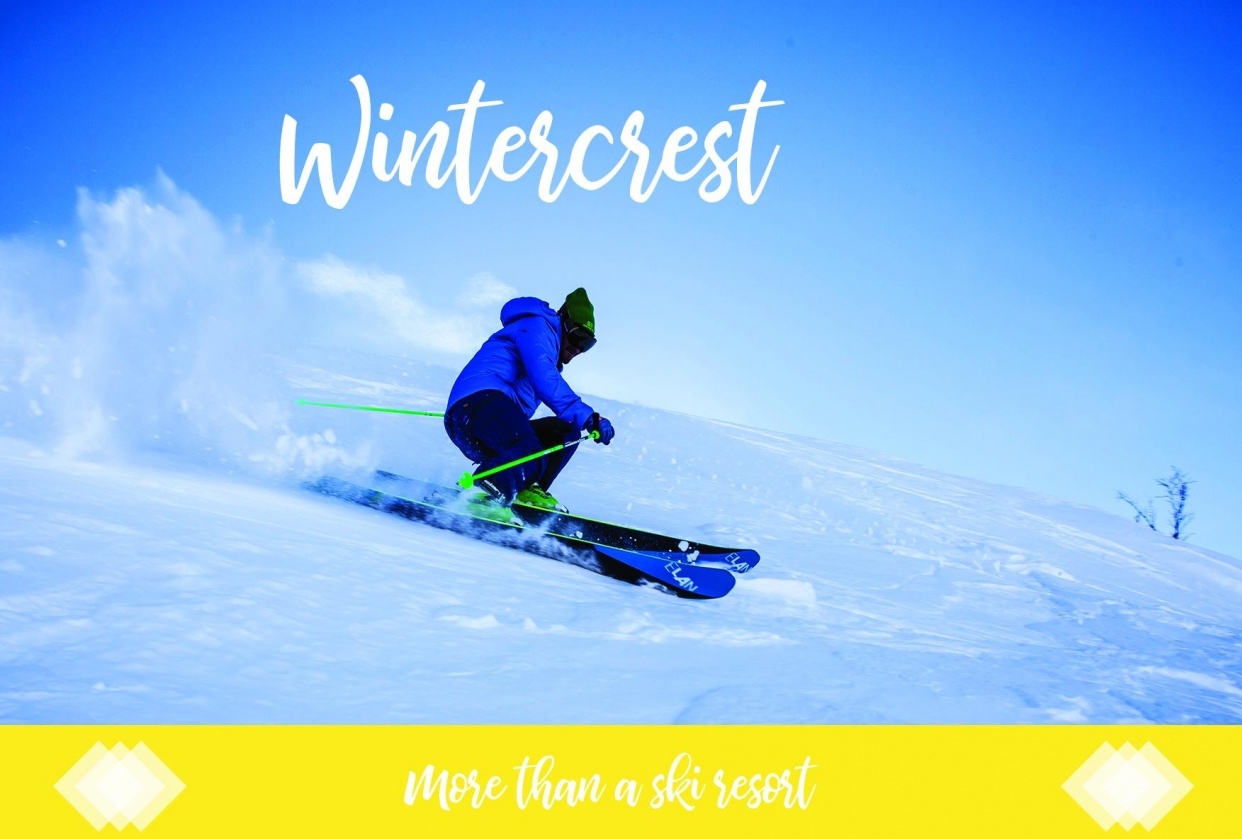 Wintercrest Lookbook - student project