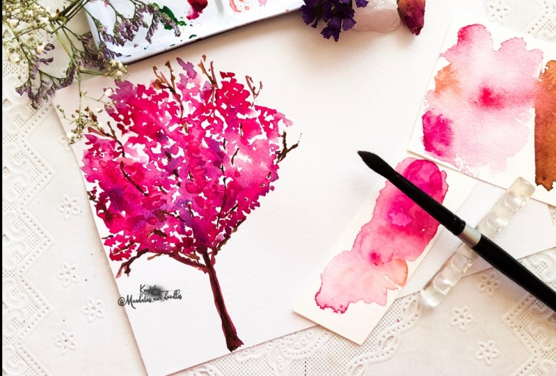 bouganvillea