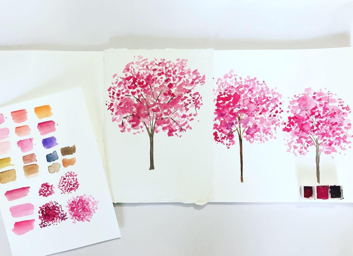 Beautiful Bougainvillea Trees - student project