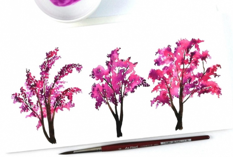 Bougainvilleas 3 ways