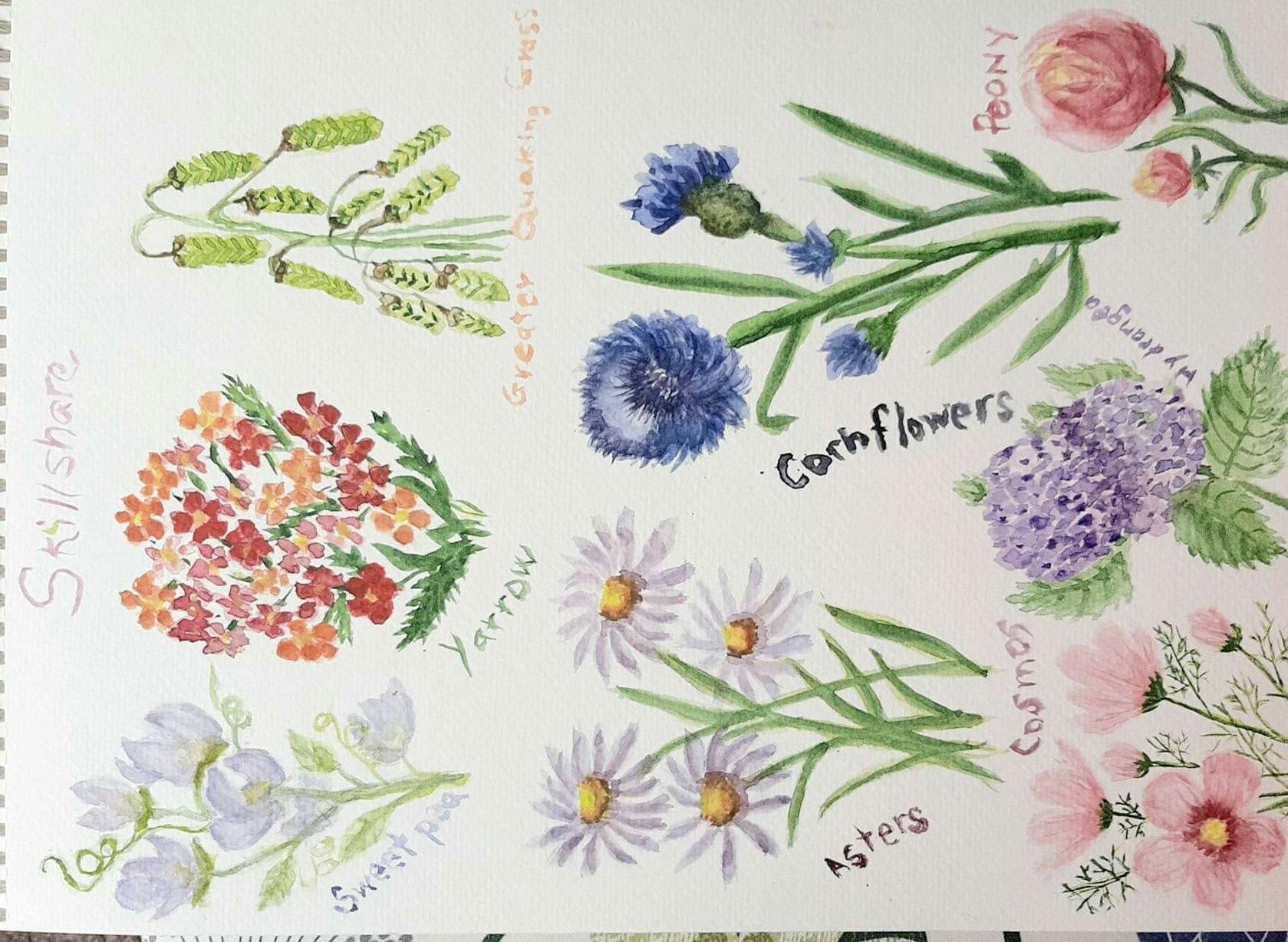 Weight Sommes Flowers - student project
