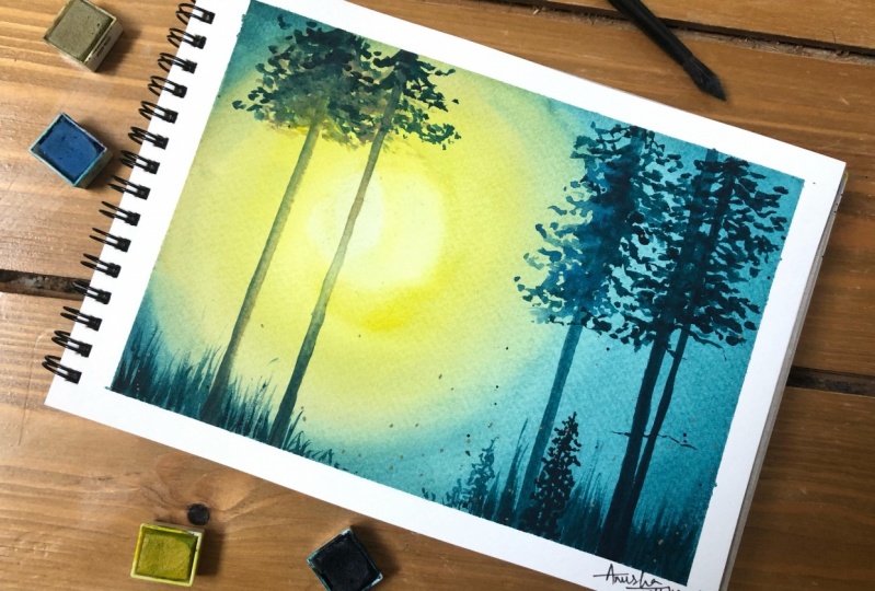 Pine forest - light and shadow composition