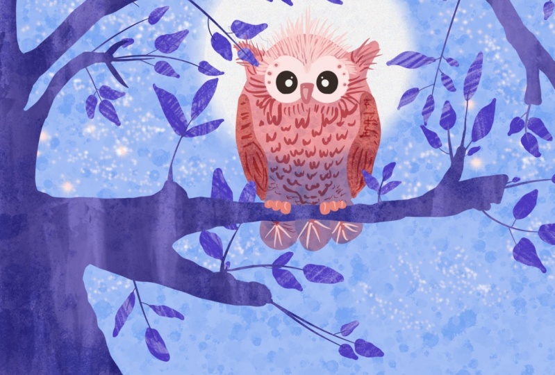 Moonshine Owl