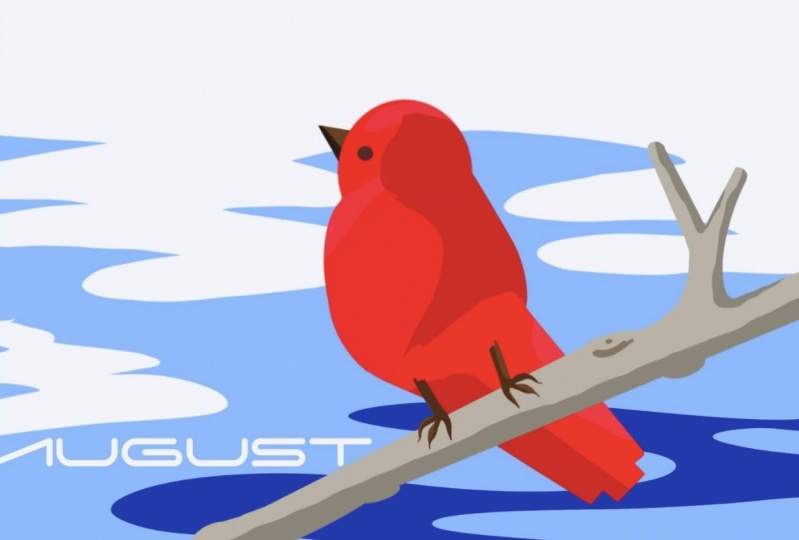 Minimalist Bird
