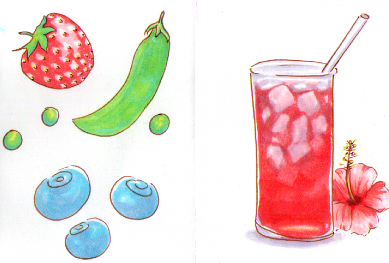 My summer favorites - student project