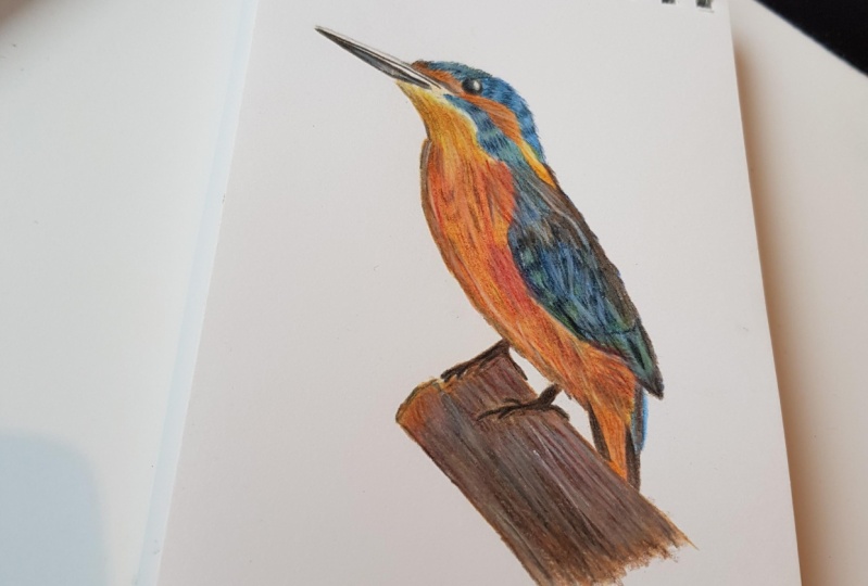 Kingfisher
