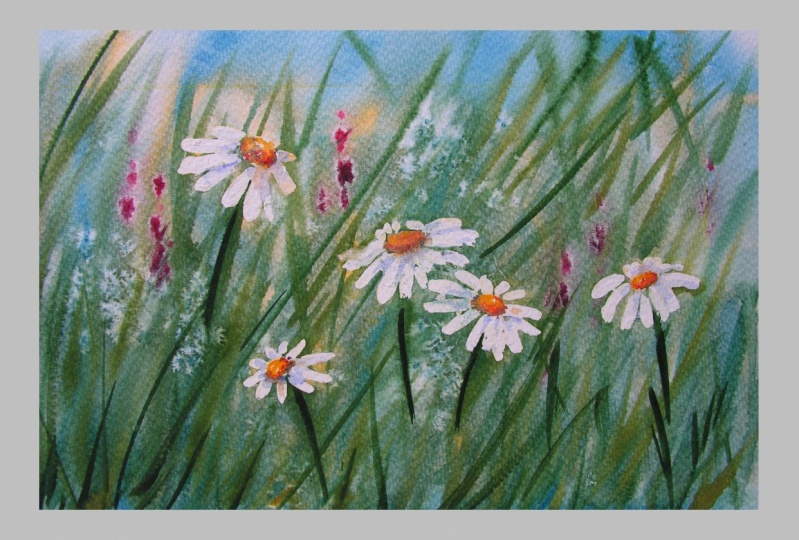 Experience Watercolours Wet into Wet Daisies