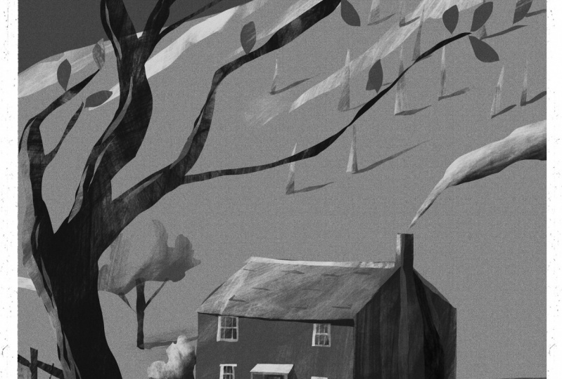Lasso tool sketch