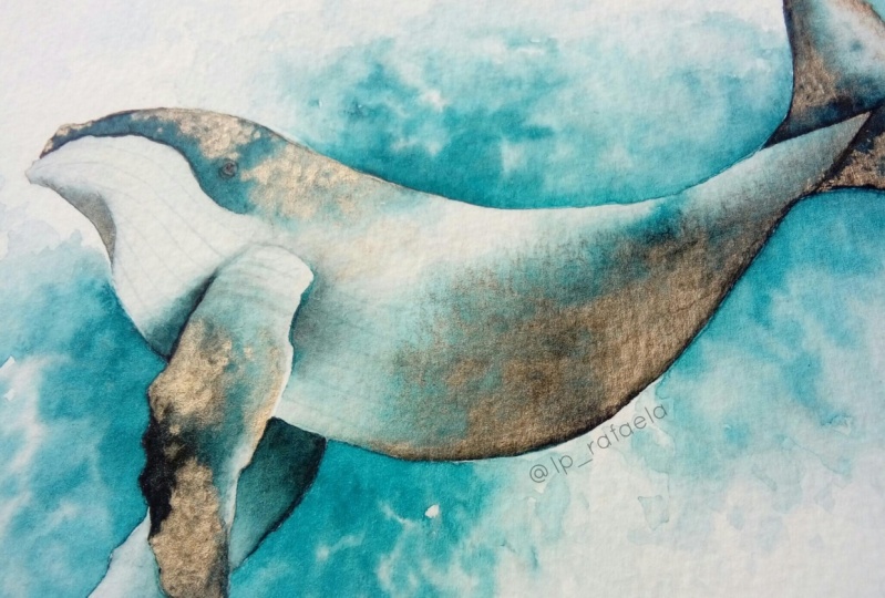 Marine Life