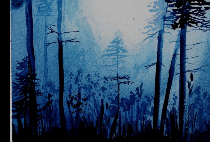 Light In The Pines